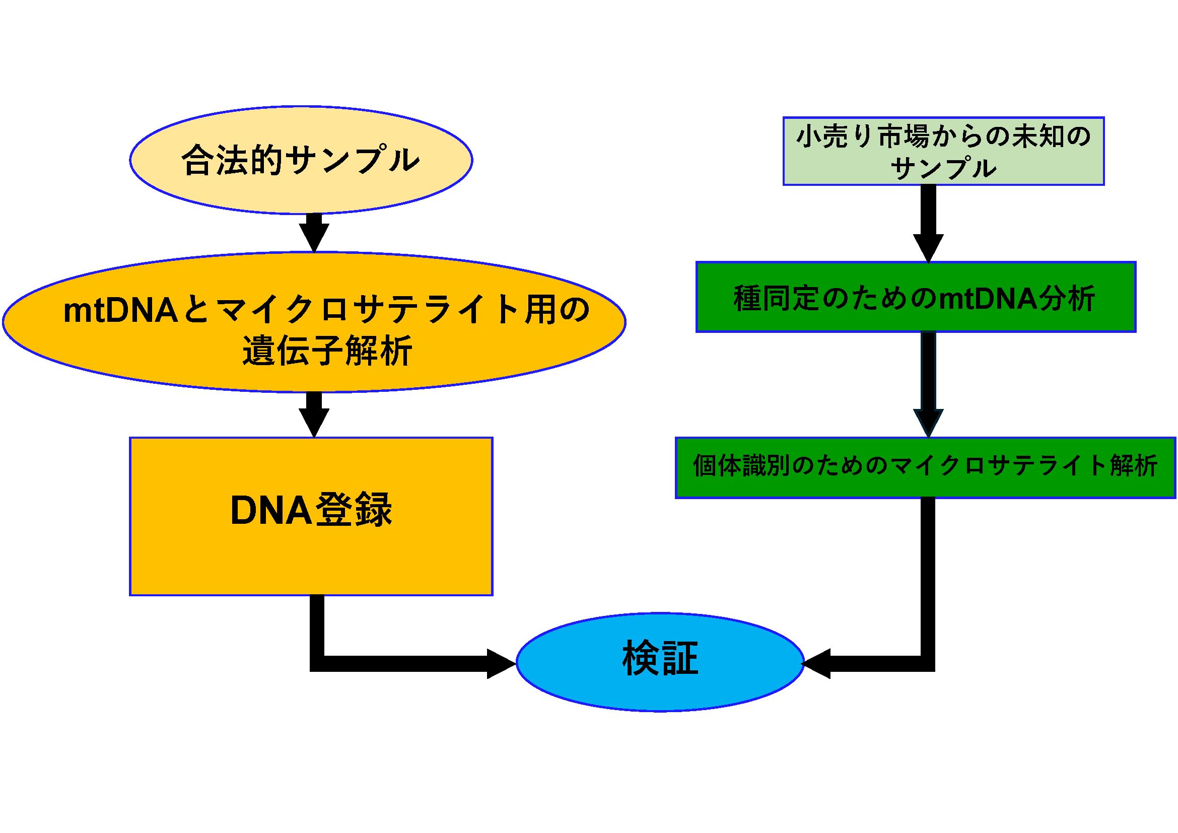 Figure10
