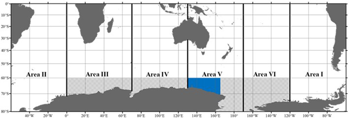 2026�����C��}