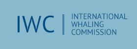 国際捕鯨委員会へ